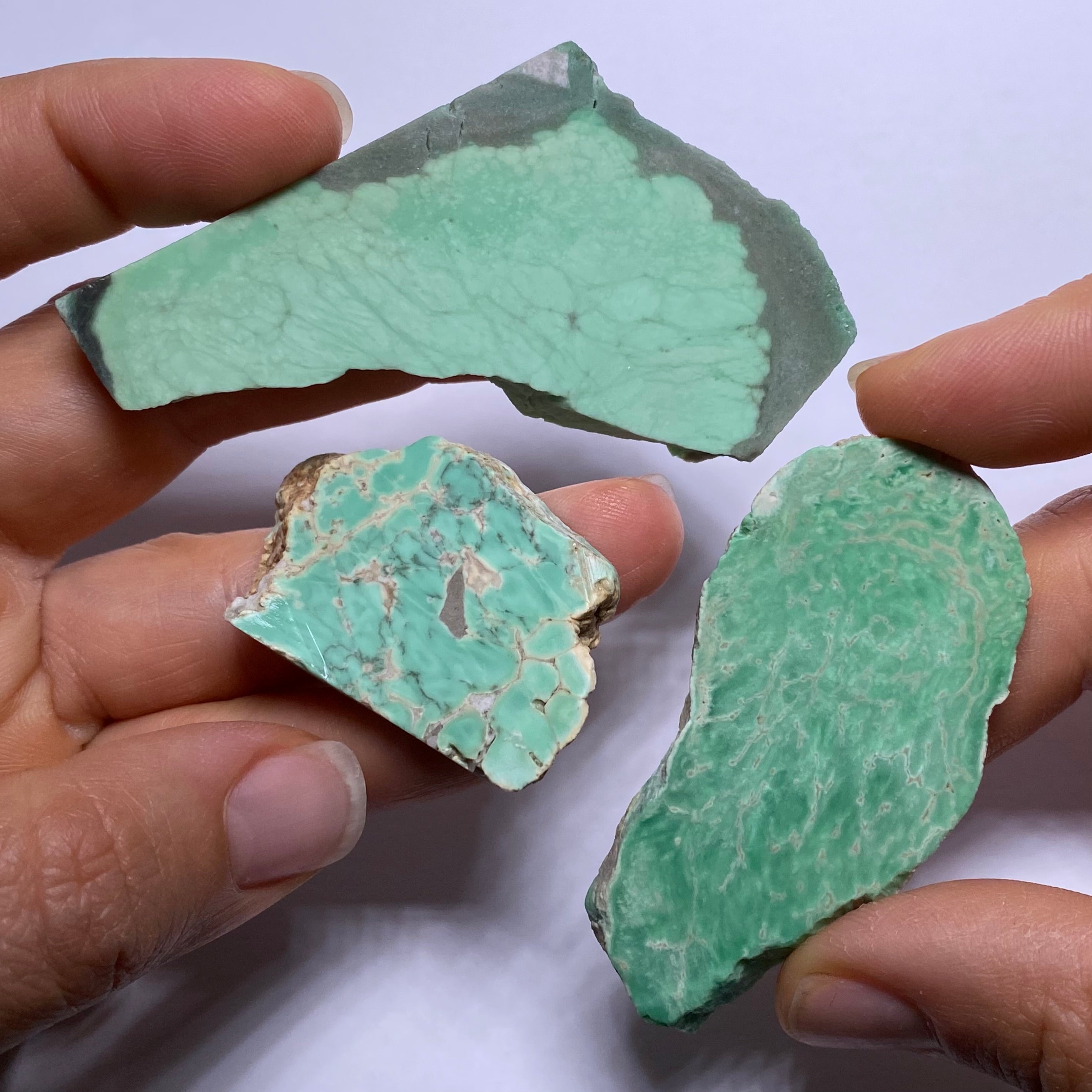 Lucin Variscite - Utah