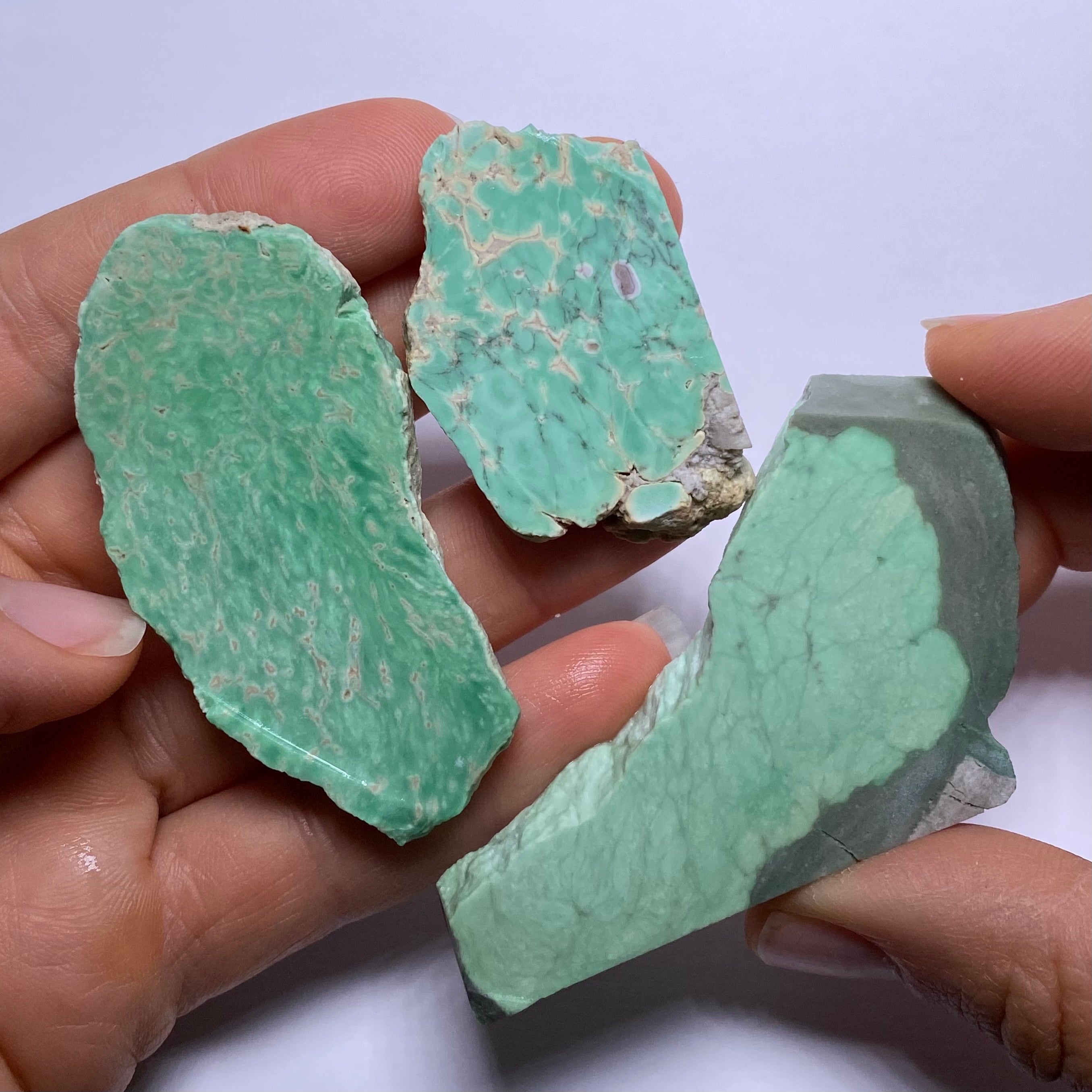 Lucin Variscite - Utah