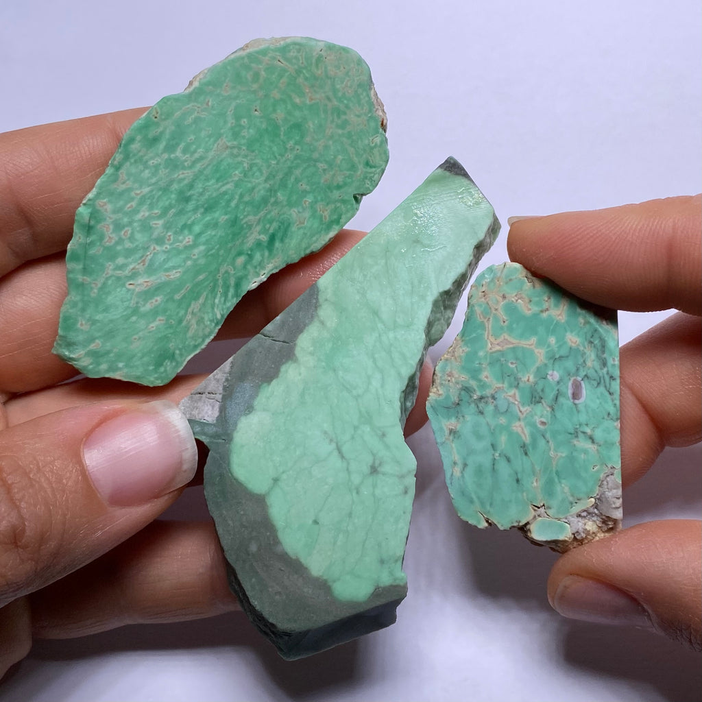 Lucin Variscite - Utah