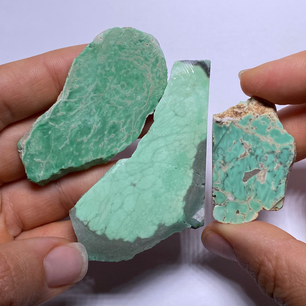 Lucin Variscite - Utah