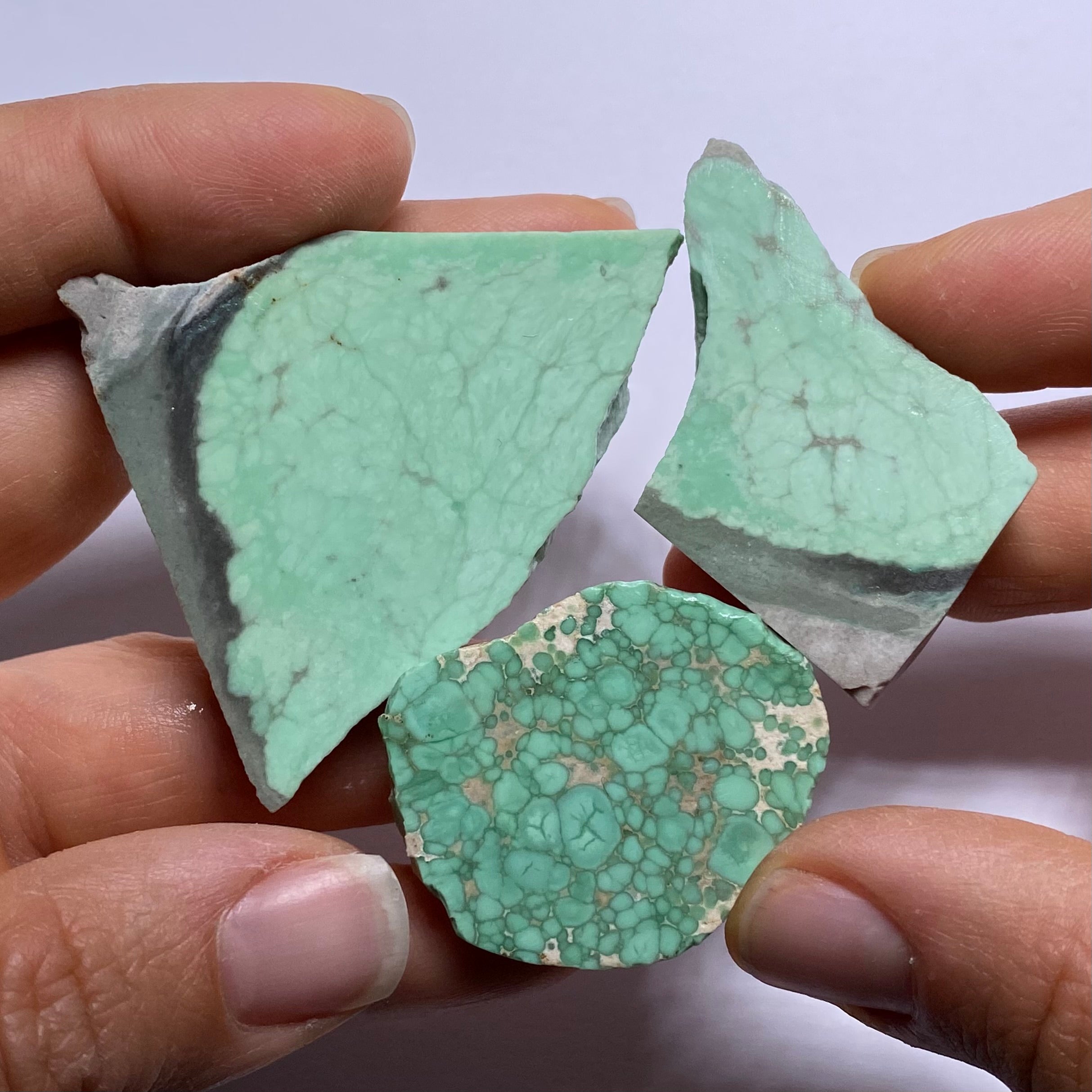 Lucin Variscite - Utah