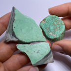 Lucin Variscite - Utah
