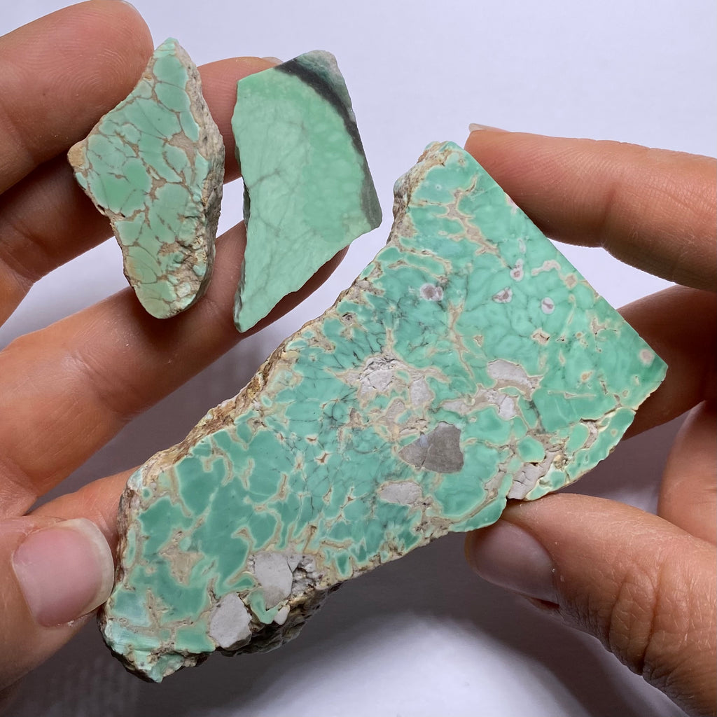 Lucin Variscite - Utah