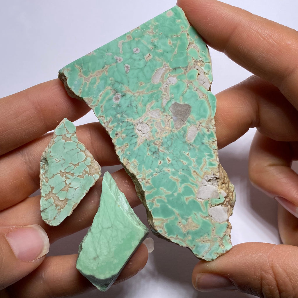 Lucin Variscite - Utah