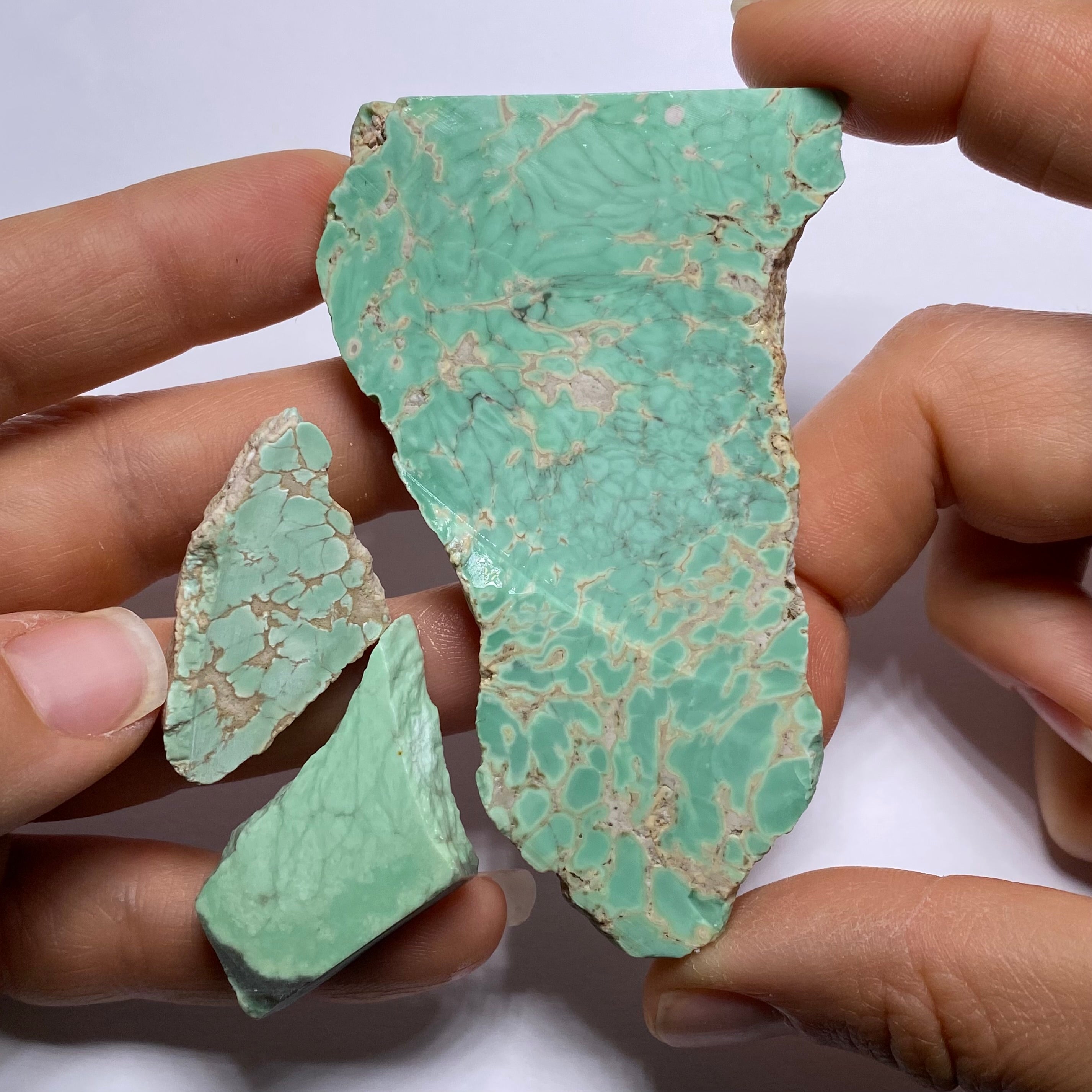 Lucin Variscite - Utah