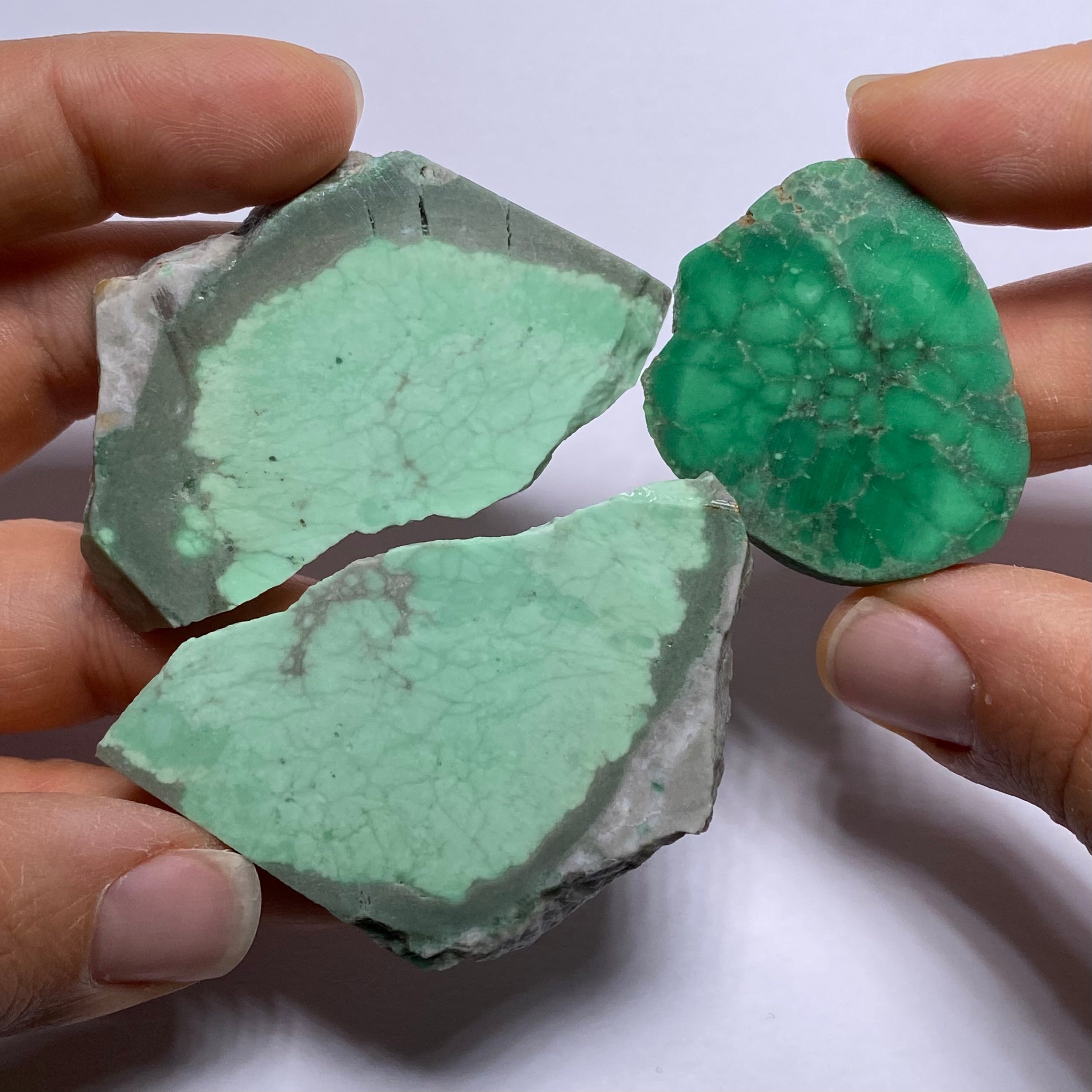 Lucin Variscite - Utah