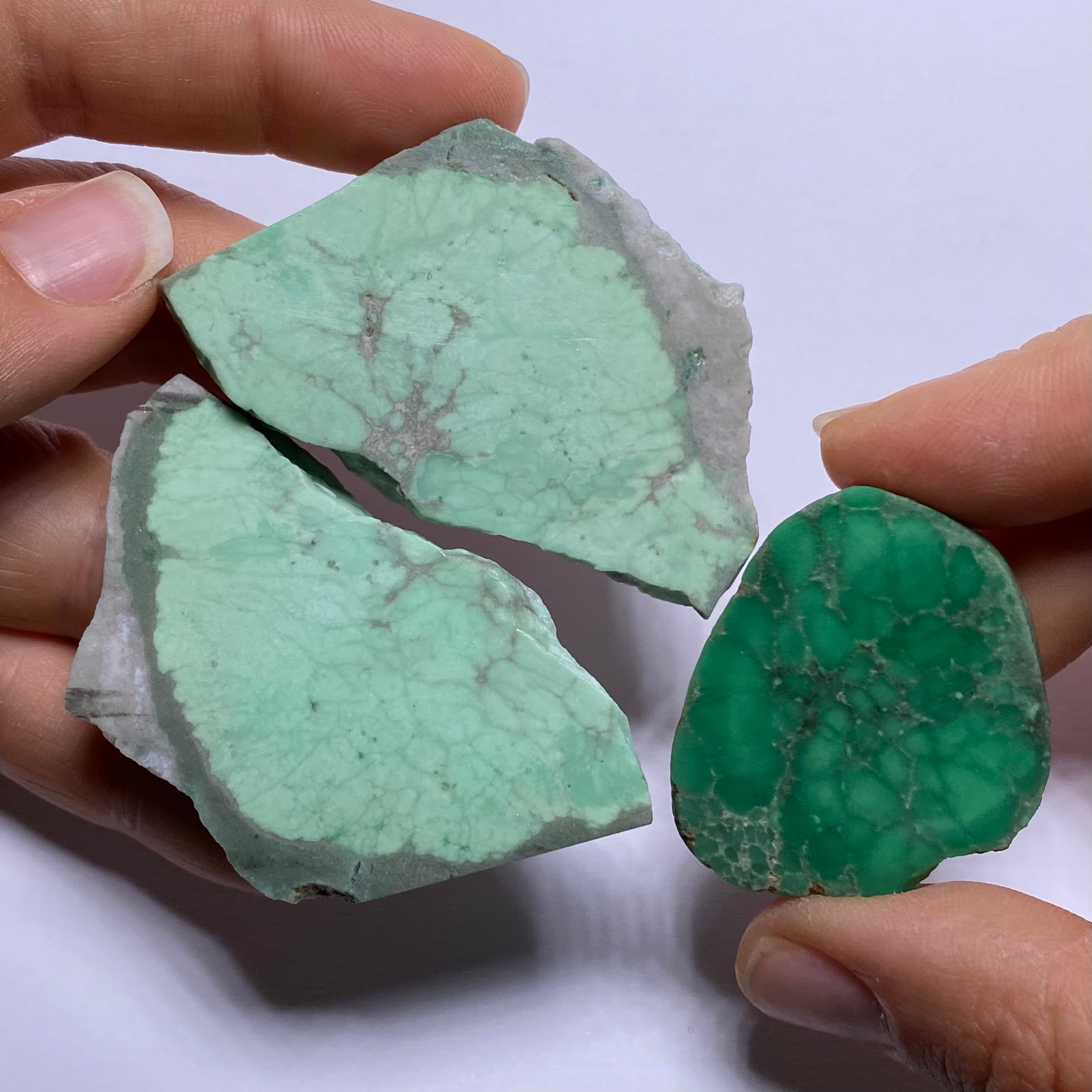 Lucin Variscite - Utah