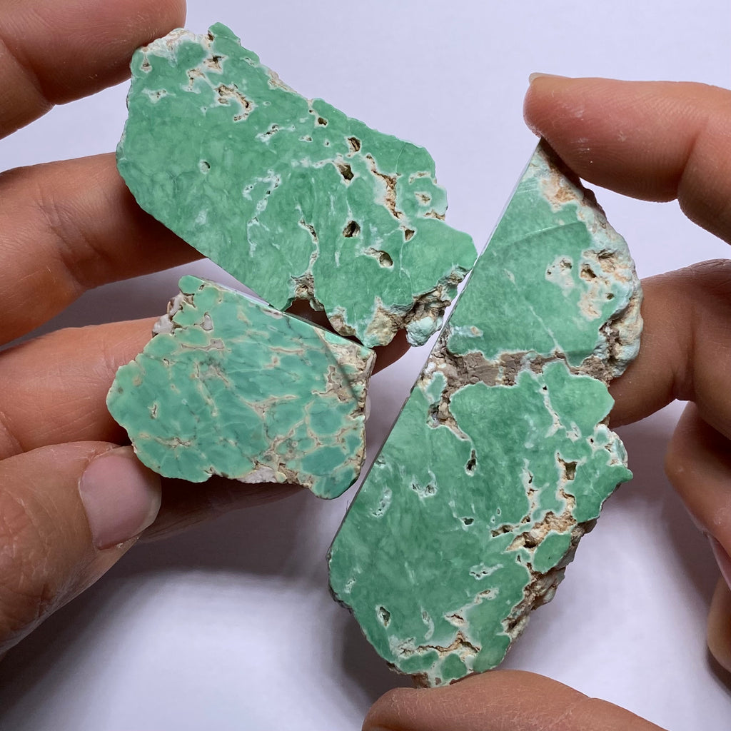 Lucin Variscite - Utah