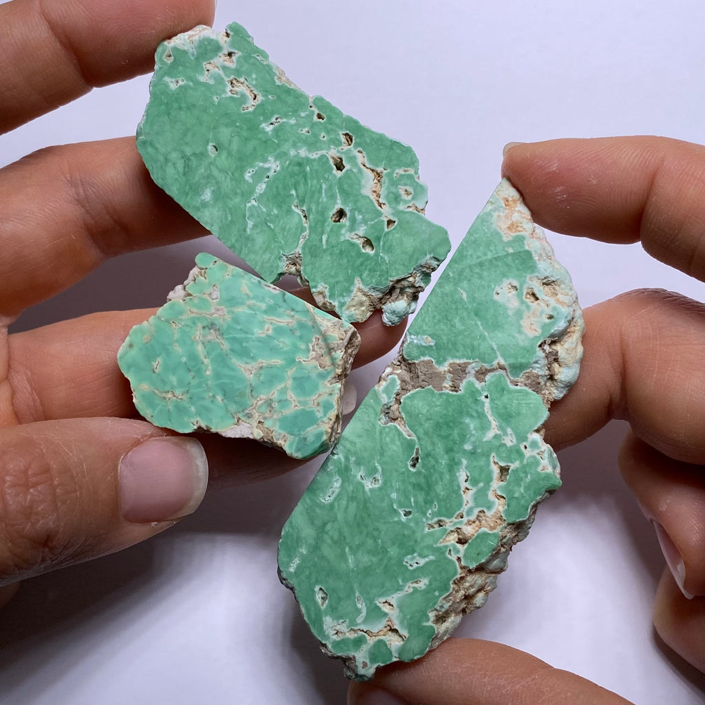 Lucin Variscite - Utah