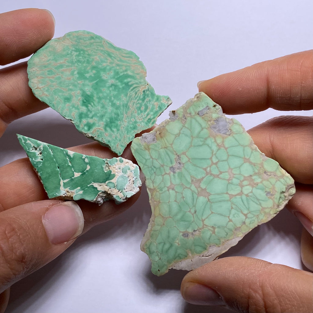 Lucin Variscite - Utah