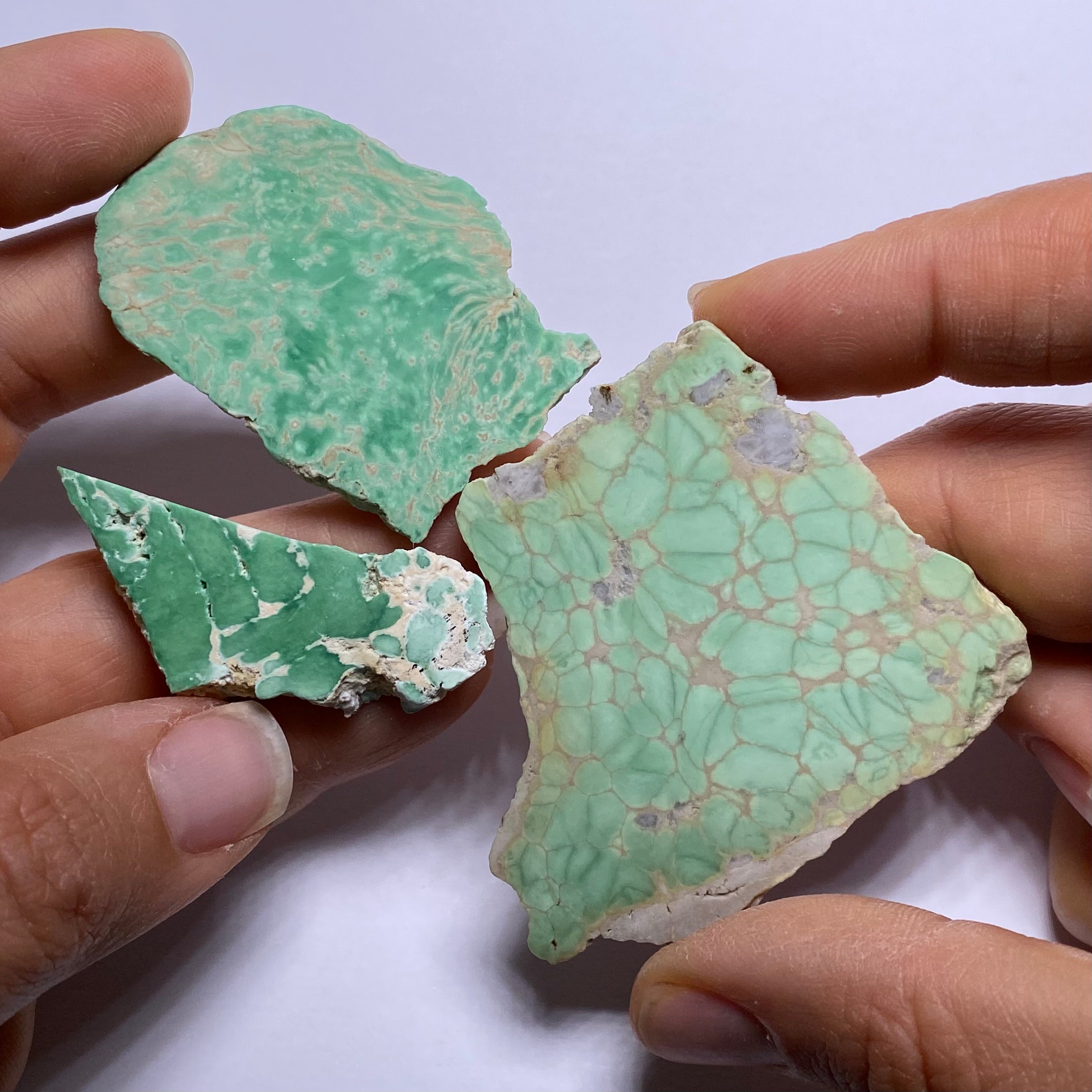 Lucin Variscite - Utah