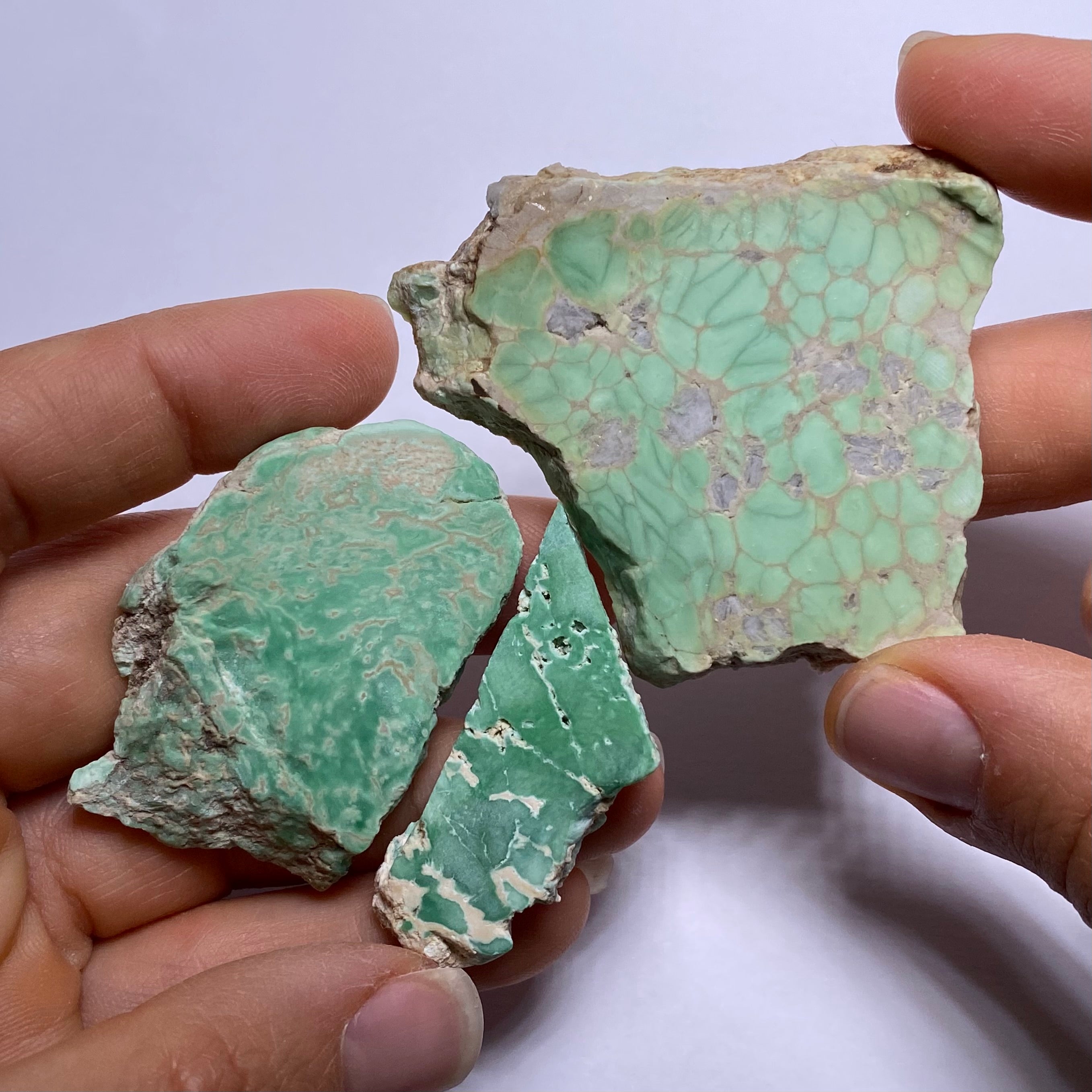 Lucin Variscite - Utah