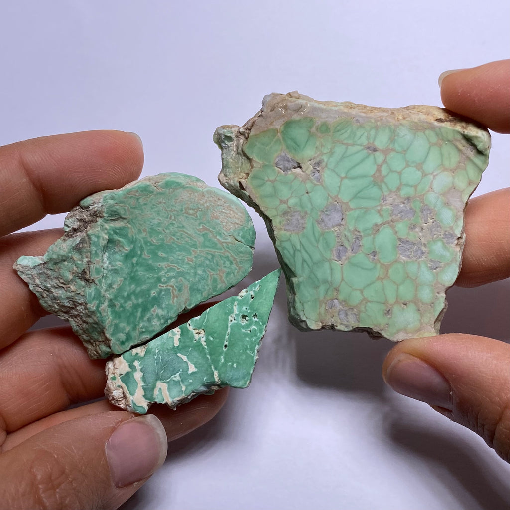 Lucin Variscite - Utah