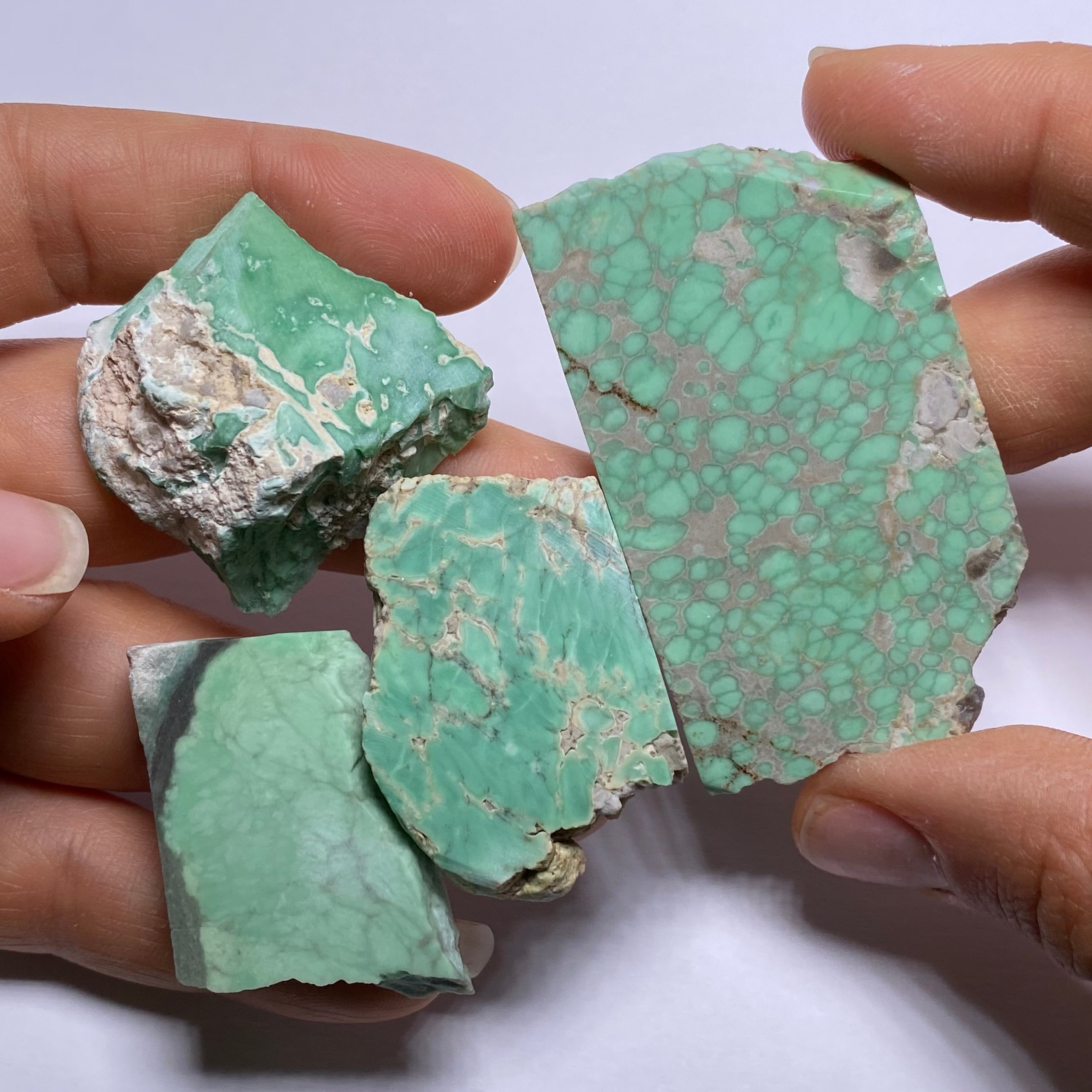 Lucin Variscite - Utah