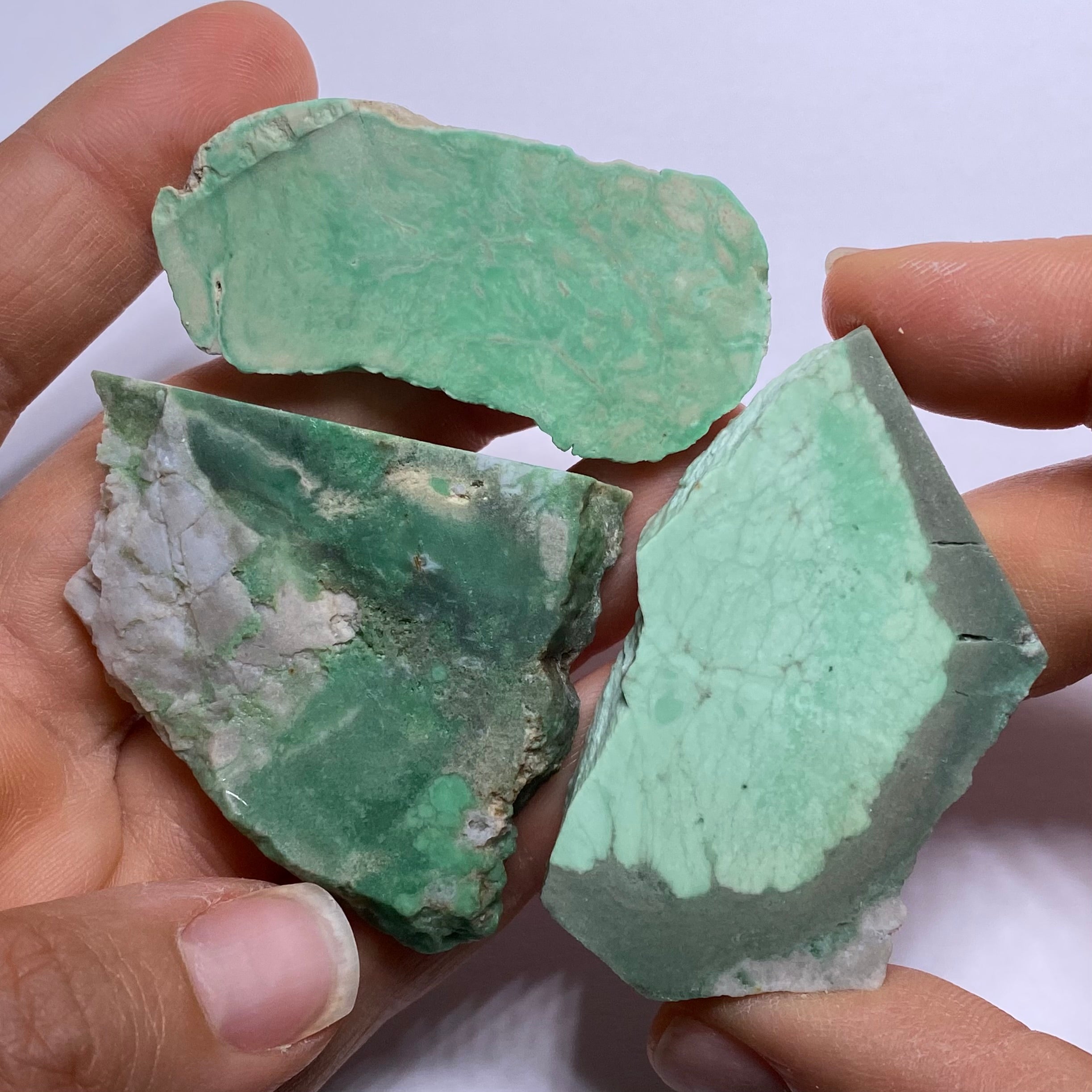 Lucin Variscite - Utah