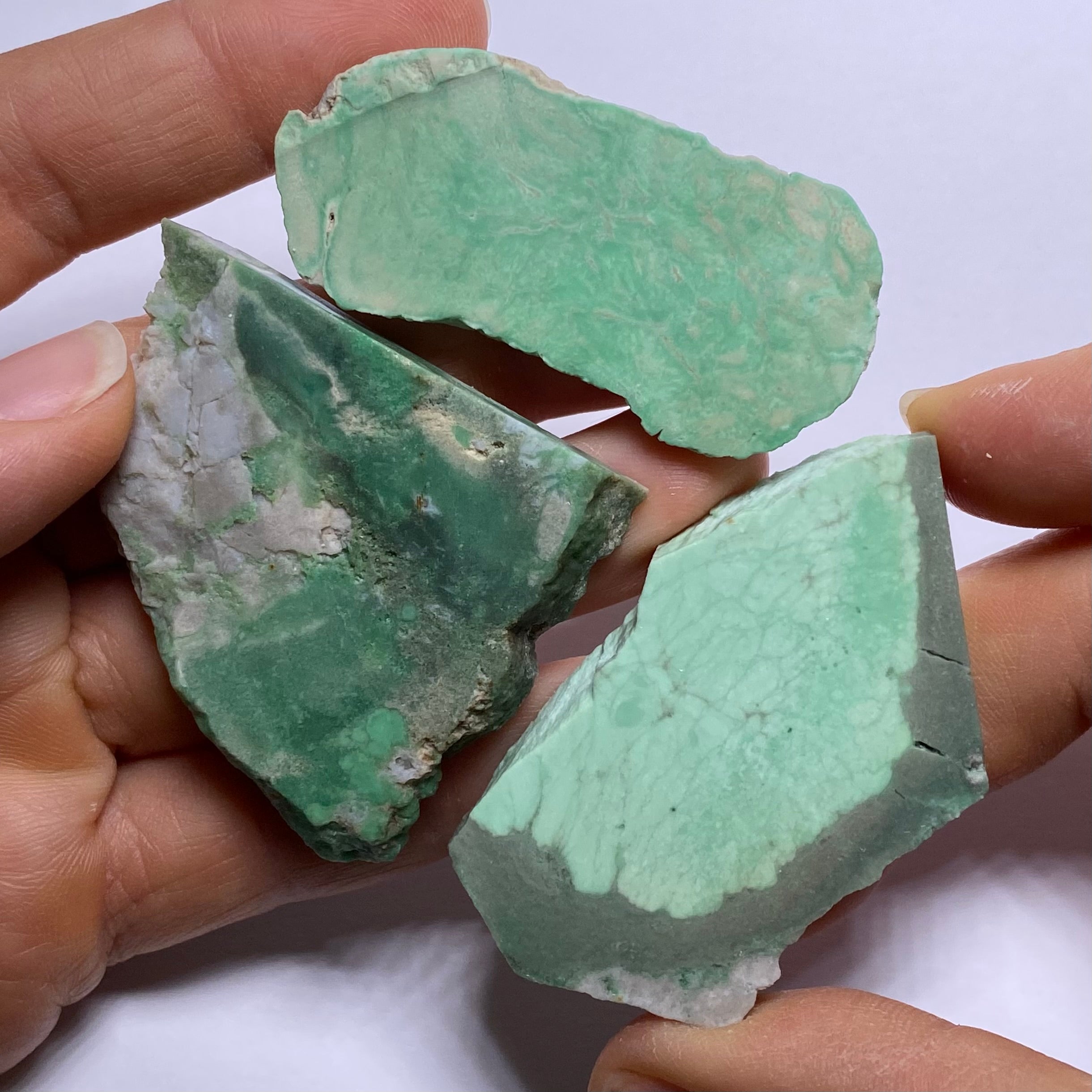 Lucin Variscite - Utah