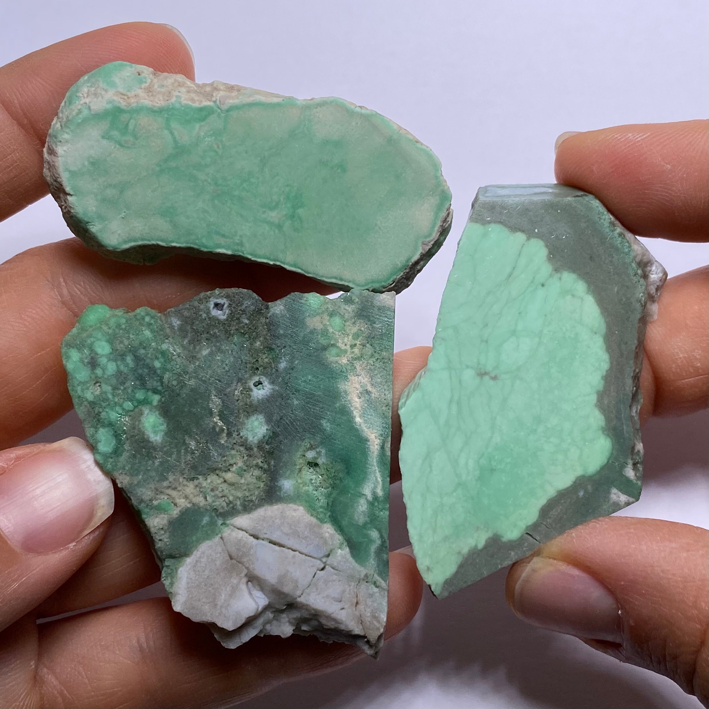 Lucin Variscite - Utah