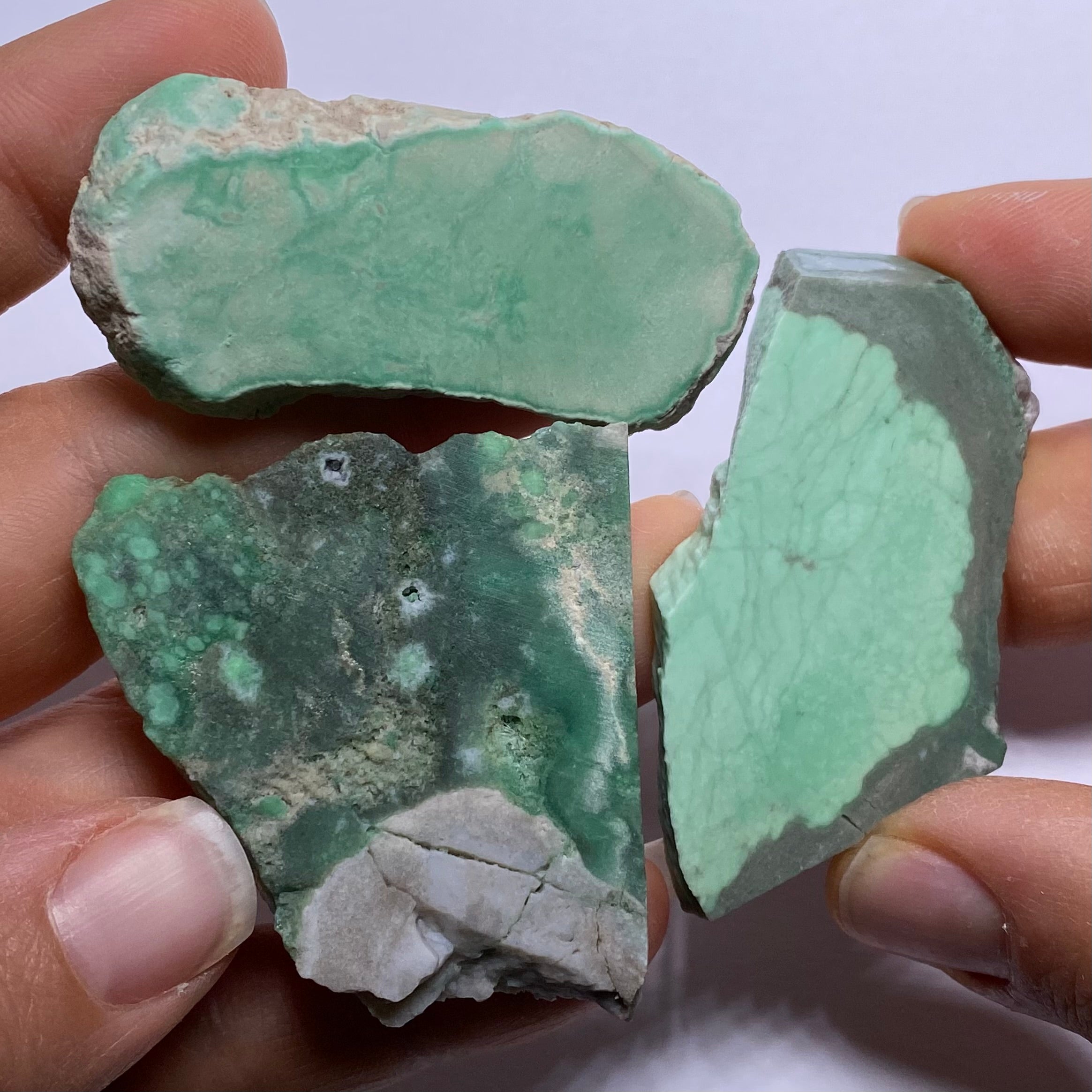 Lucin Variscite - Utah