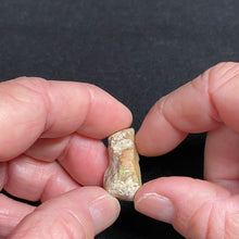 Load image into Gallery viewer, Welo Opal - Ethiopia
