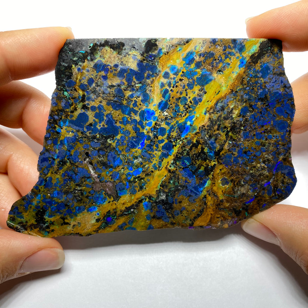 Butterfly Wing Azurite - Arizona, USA