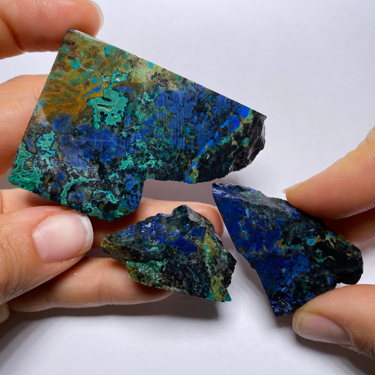 Butterfly Wing Azurite - Arizona, USA
