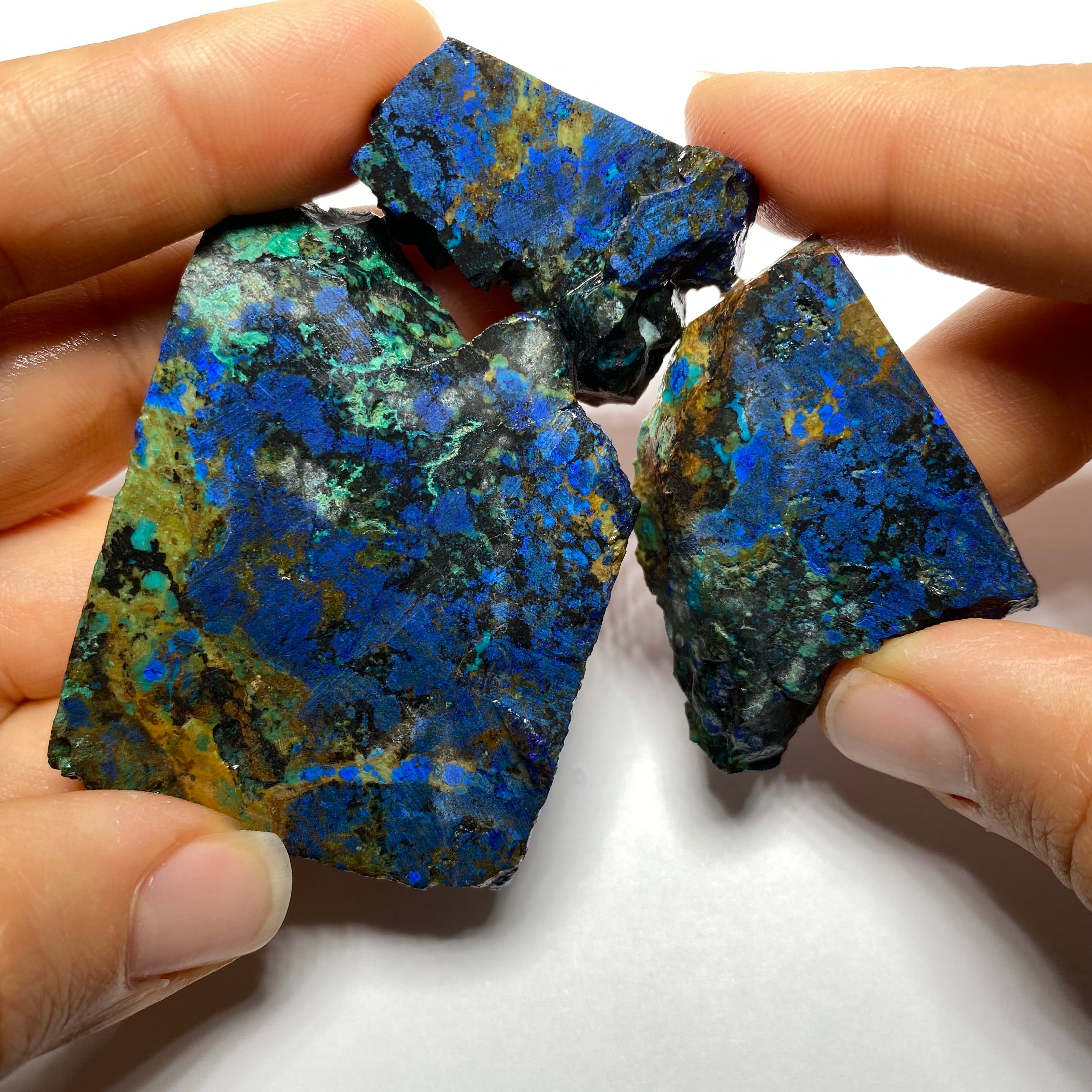 Butterfly Wing Azurite - Arizona, USA