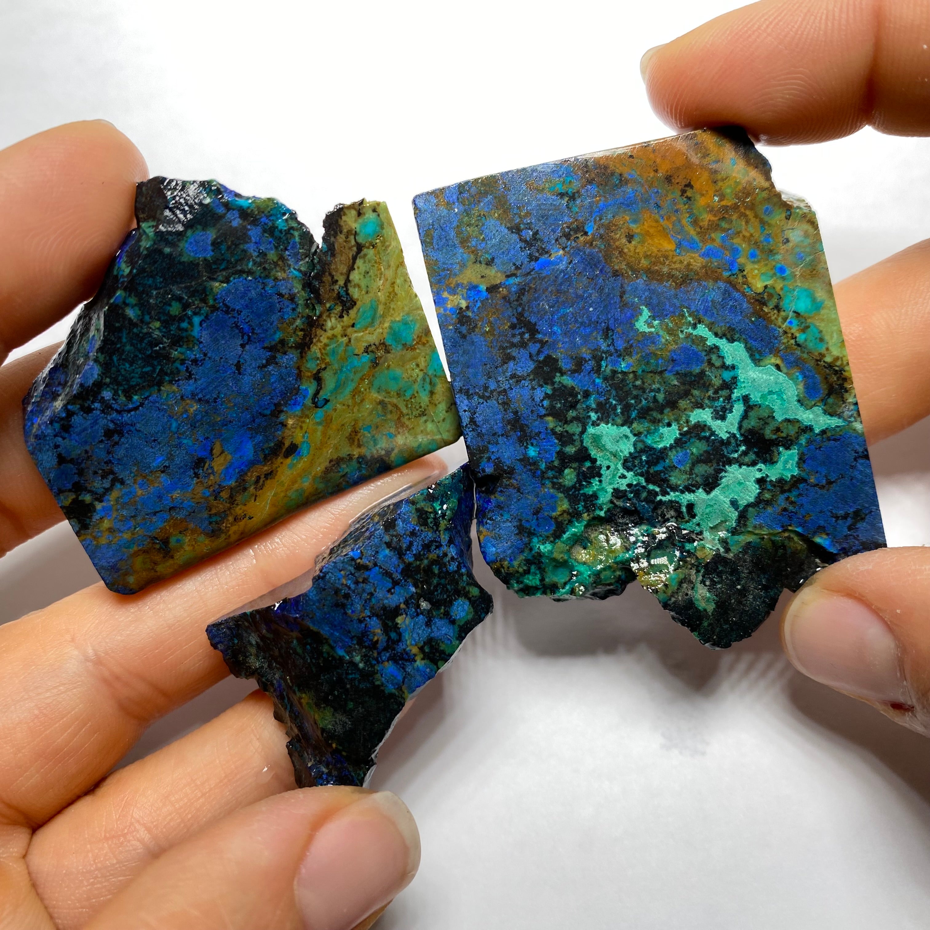 Butterfly Wing Azurite - Arizona, USA