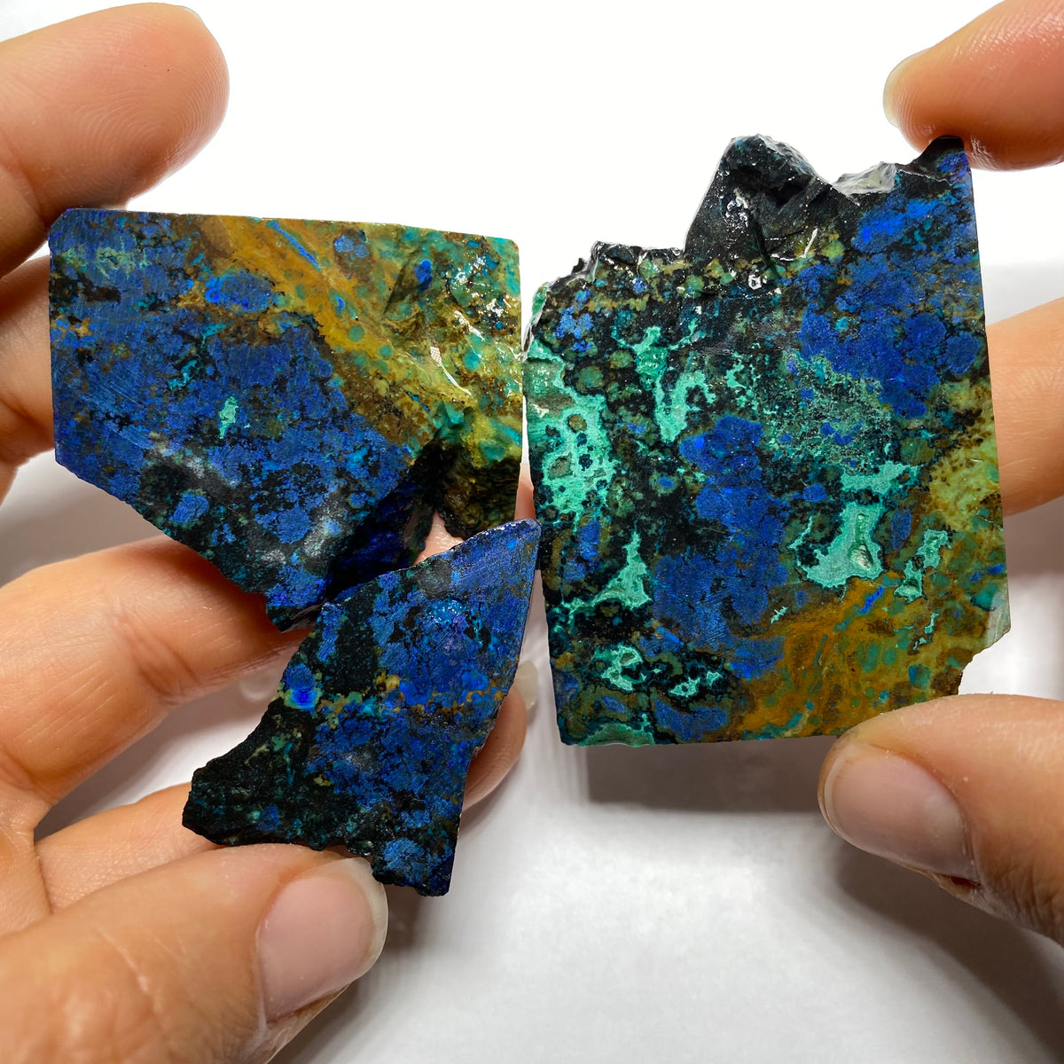 Butterfly Wing Azurite - Arizona, USA
