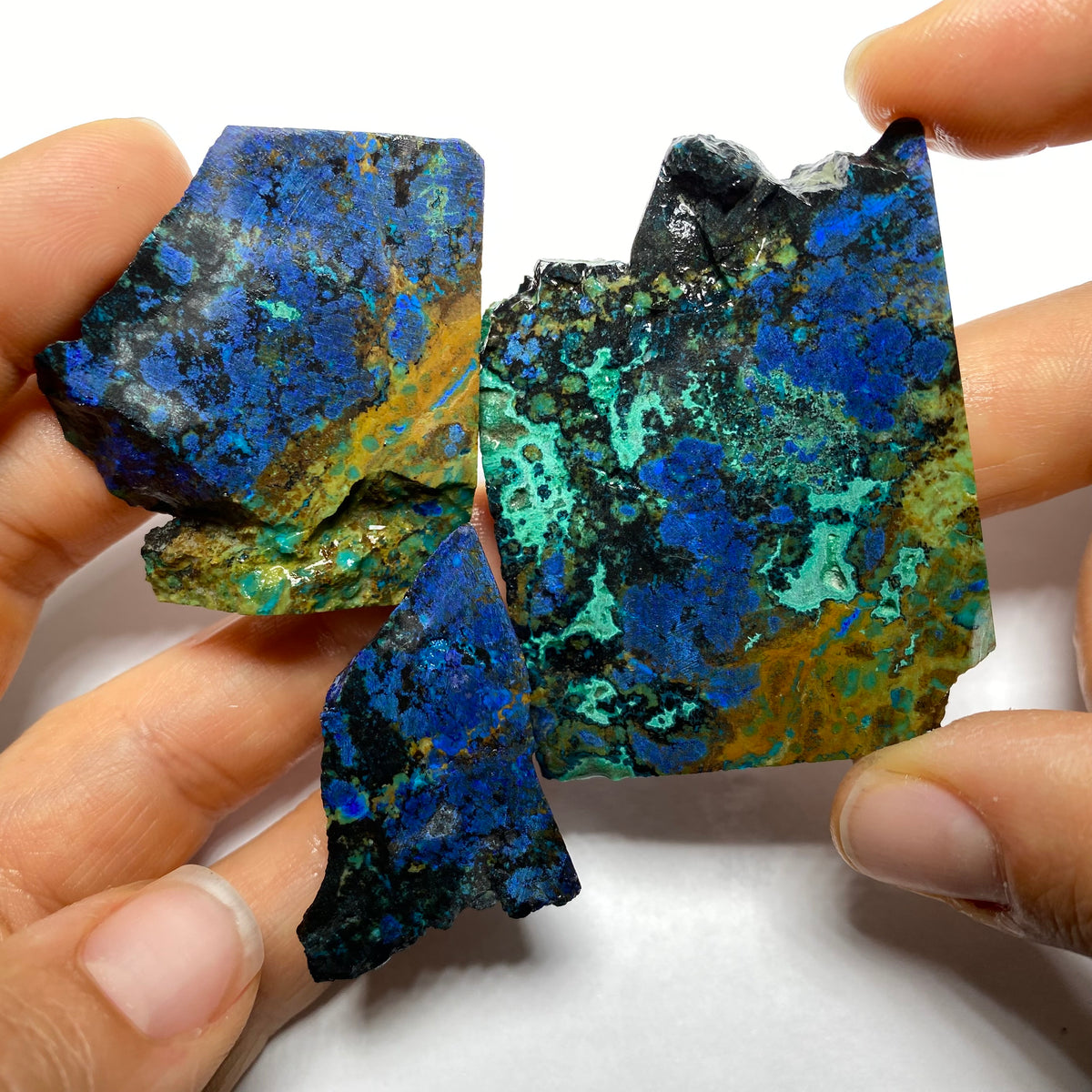 Butterfly Wing Azurite - Arizona, USA