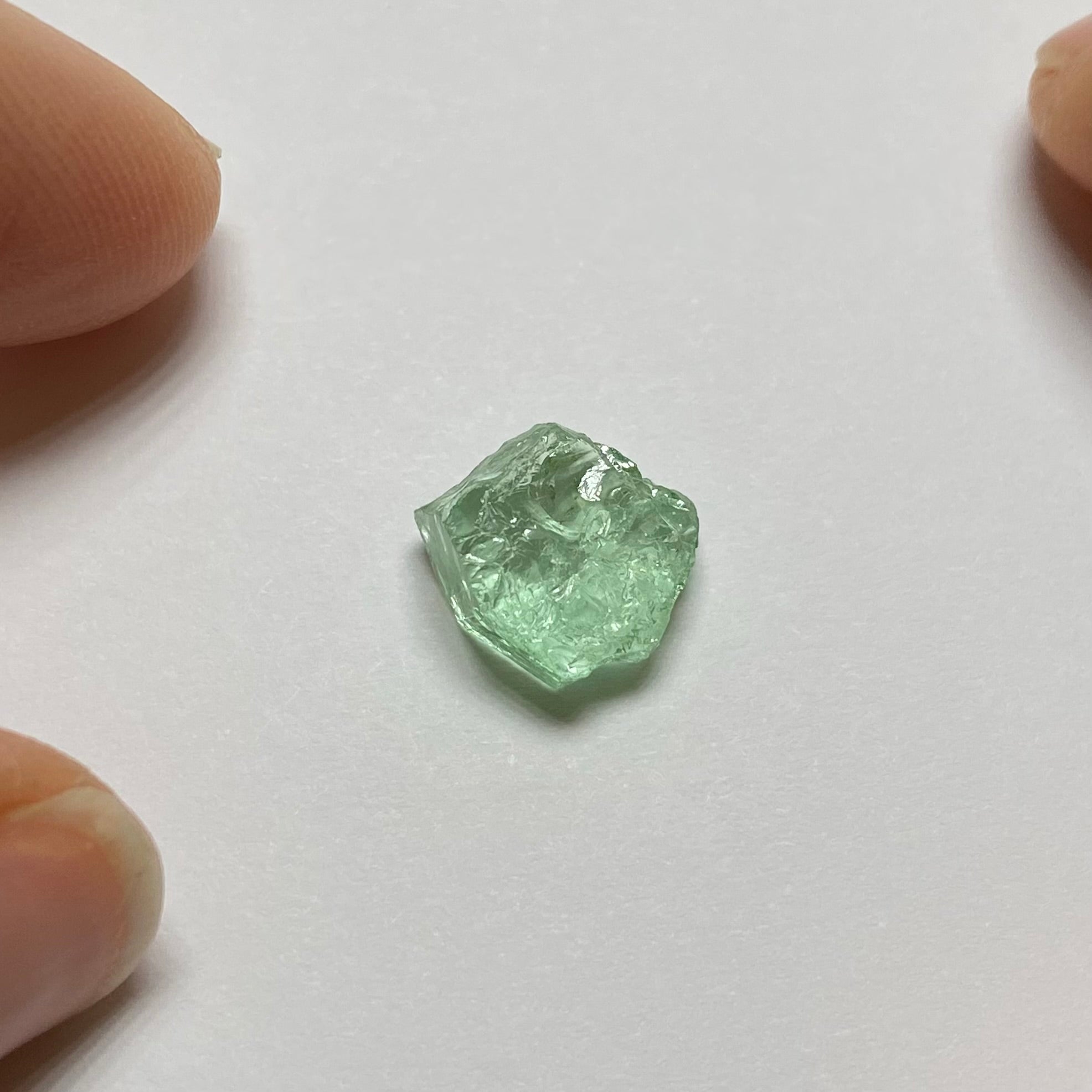 Merelani Mint Garnet