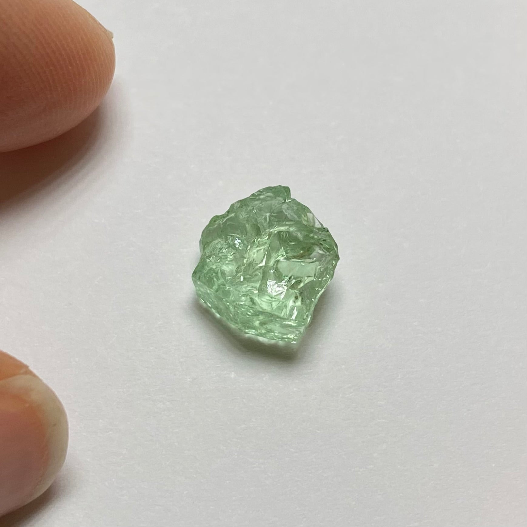 Merelani Mint Garnet