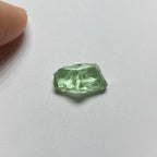 Merelani Mint Garnet