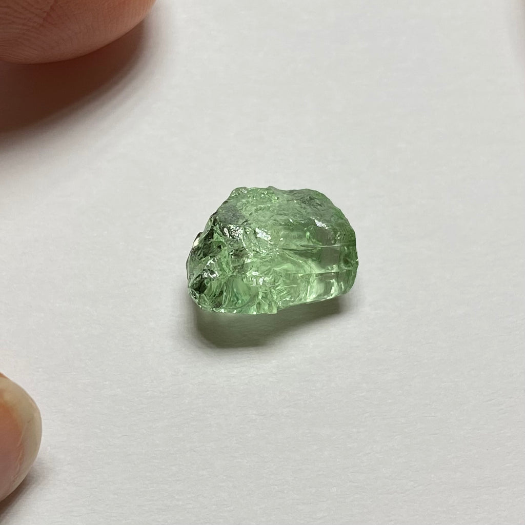 Merelani Mint Garnet