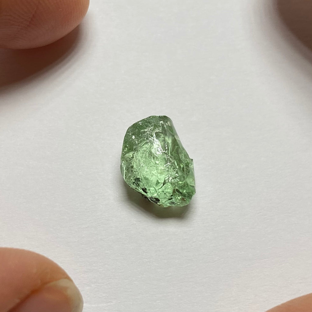 Merelani Mint Garnet