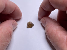 Load image into Gallery viewer, Umba Sapphire - Tanzania
