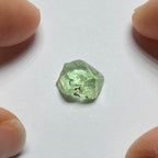 Merelani Mint Garnet