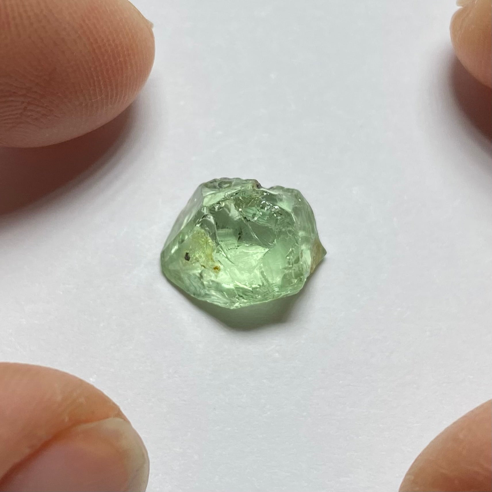 Merelani Mint Garnet