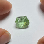 Merelani Mint Garnet