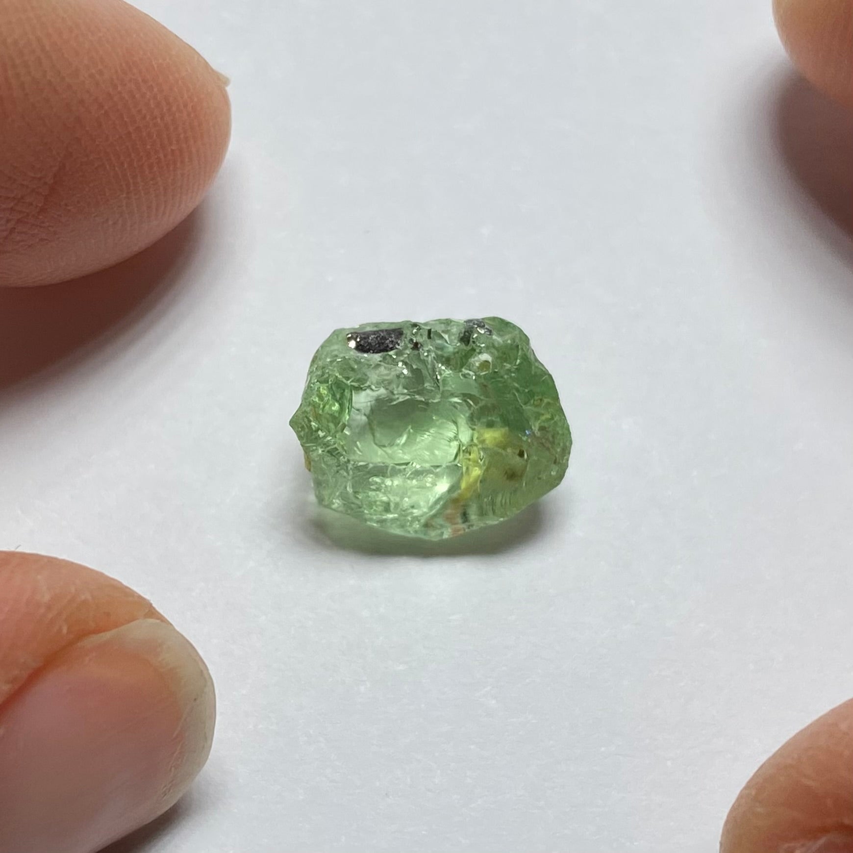 Merelani Mint Garnet