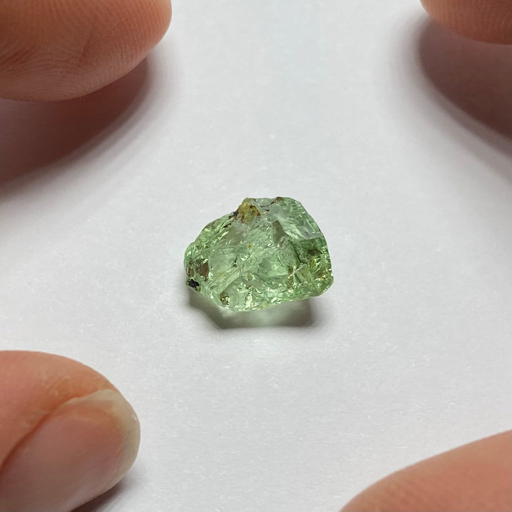 Merelani Mint Garnet