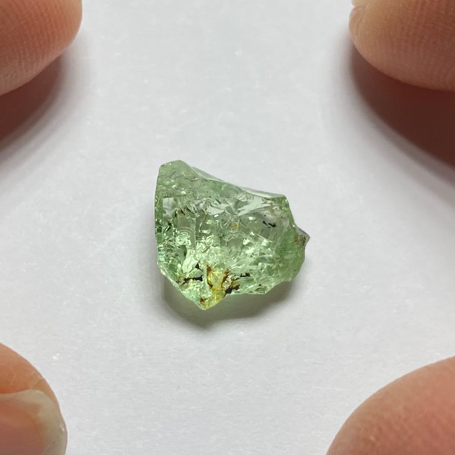 Merelani Mint Garnet