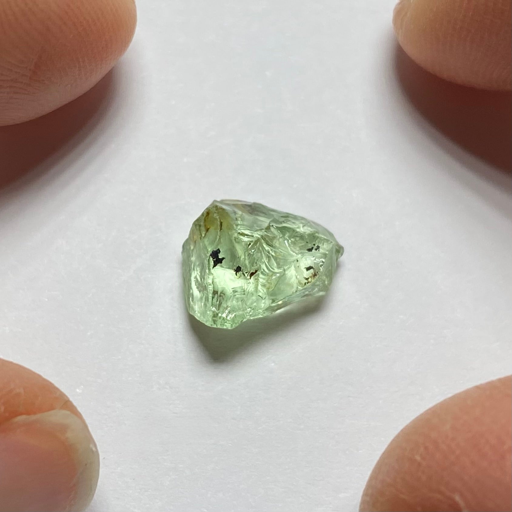 Merelani Mint Garnet