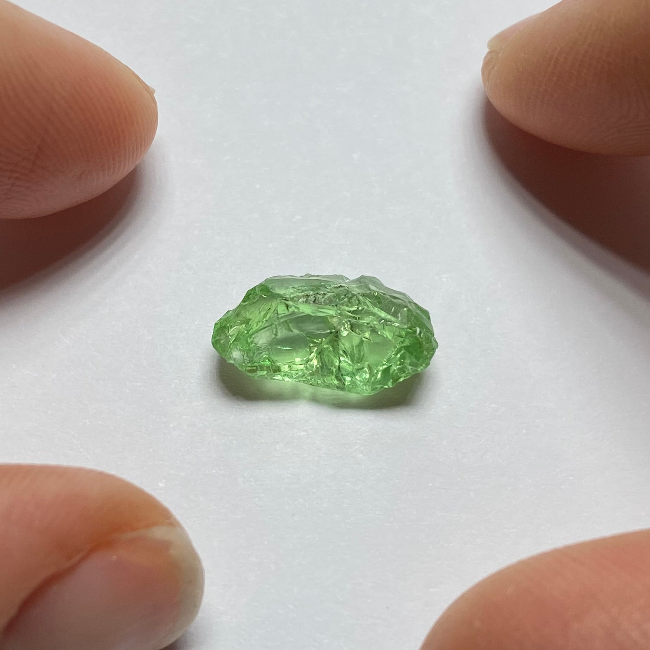 Merelani Mint Garnet