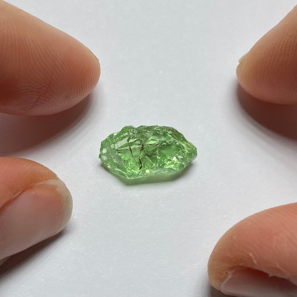 Merelani Mint Garnet