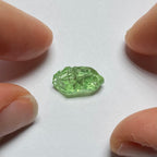 Merelani Mint Garnet