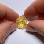 Golden Scapolite - Tanzania