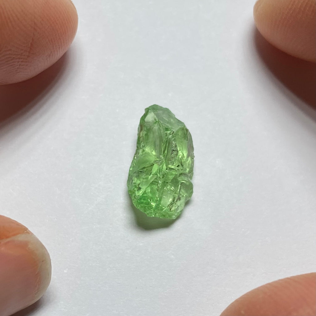 Merelani Mint Garnet