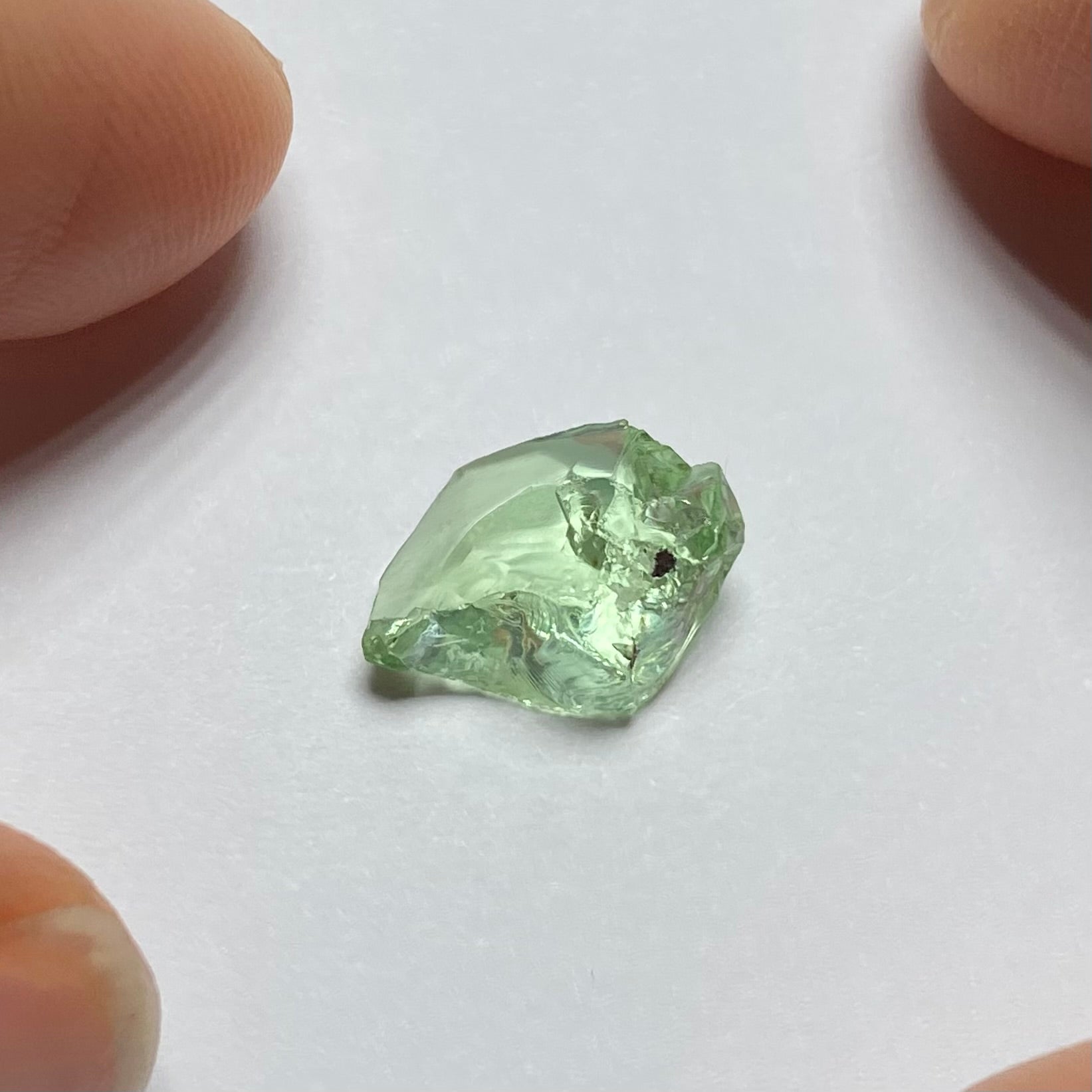 Merelani Mint Garnet