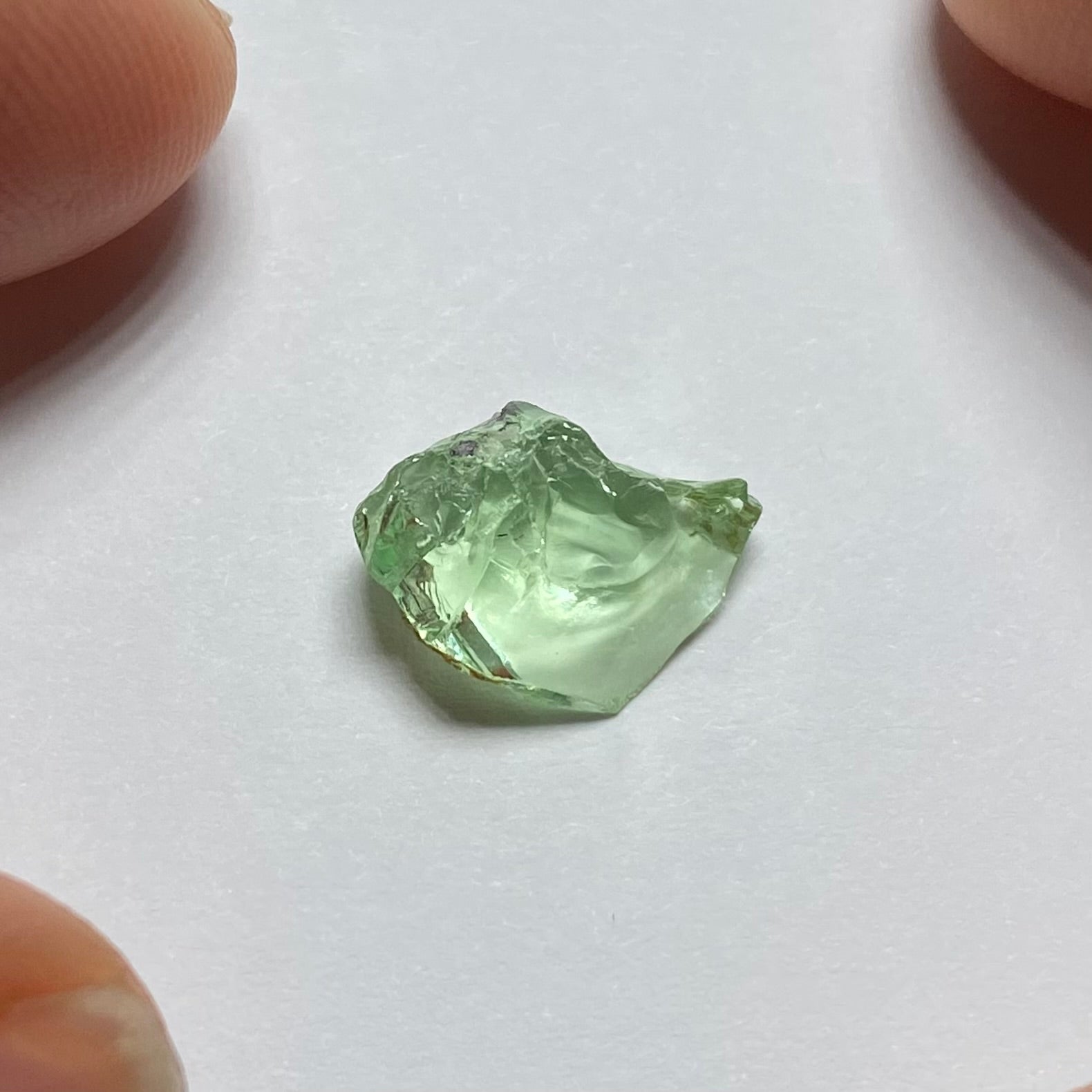 Merelani Mint Garnet