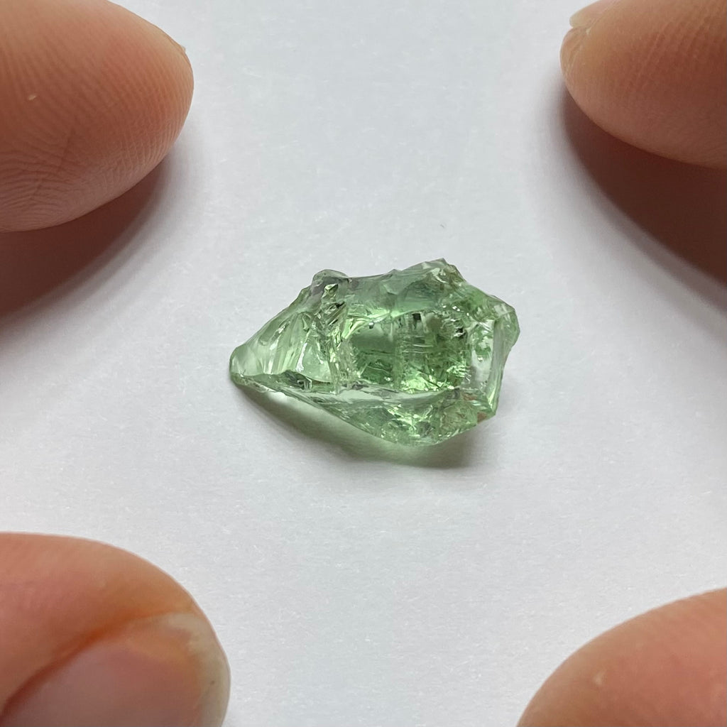 Merelani Mint Garnet